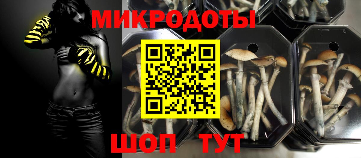 Псилоцибиновые грибы мухоморы  Вход с VPN  Верхняя Салда  Псилоцибиновые грибы Psilocybe 